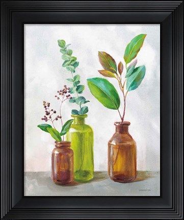 Framed Natural Riches III Print