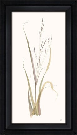Framed Moor Grass Print