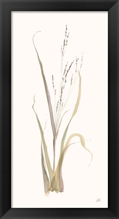 Framed Moor Grass Print