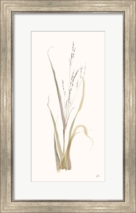 Framed Moor Grass Print