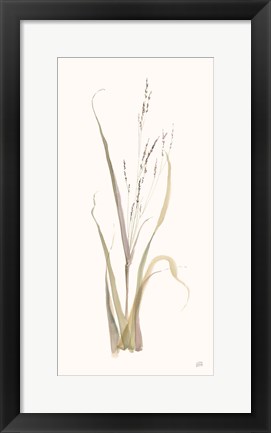 Framed Moor Grass Print