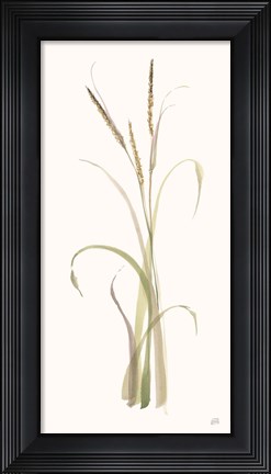 Framed Lyme Grass Print