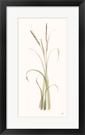 Framed Lyme Grass Print