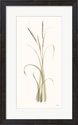 Framed Lyme Grass Print