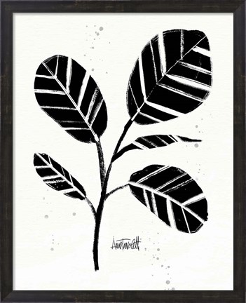 Framed Botanical Sketches IV Print