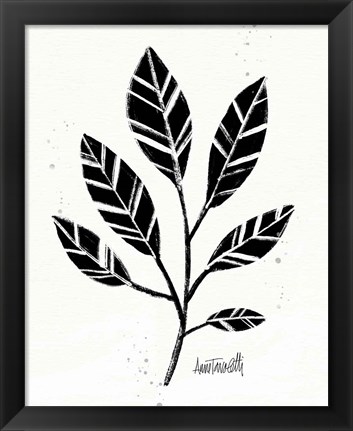 Framed Botanical Sketches III Print