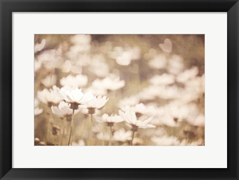 Framed Daisies I Neutral Print