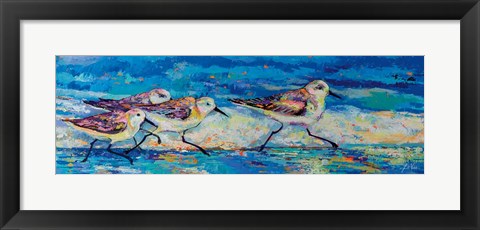 Framed Racing Plovers Print