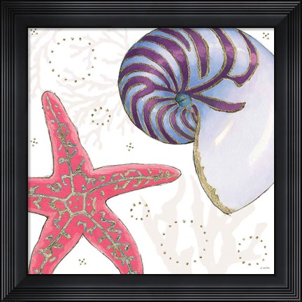 Framed Shimmering Shells II Print