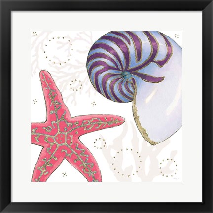 Framed Shimmering Shells II Print