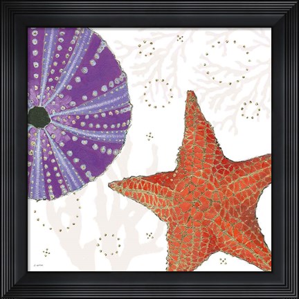 Framed Shimmering Shells III Print