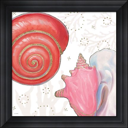 Framed Shimmering Shells IV Print