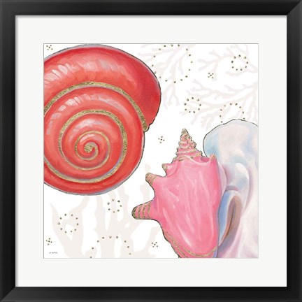 Framed Shimmering Shells IV Print