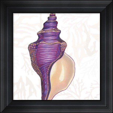 Framed Shimmering Shells IX Print