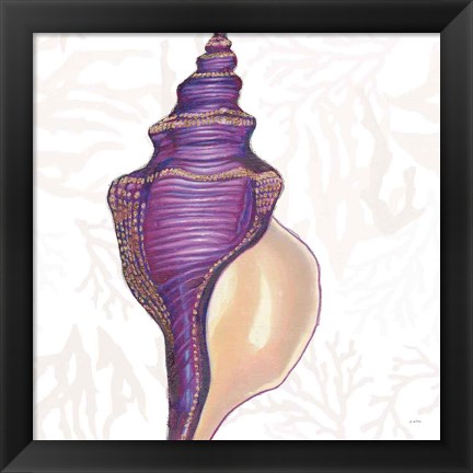 Framed Shimmering Shells IX Print