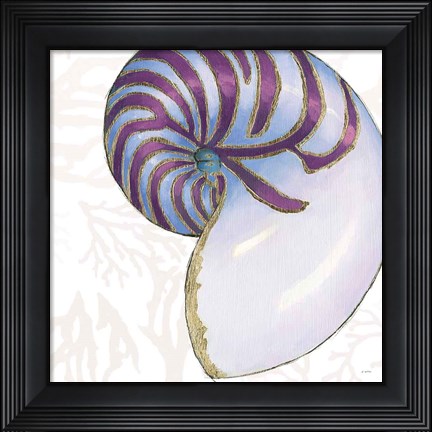 Framed Shimmering Shells VI Print