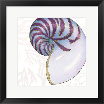 Framed Shimmering Shells VI Print