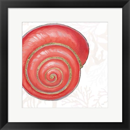 Framed Shimmering Shells VII Print