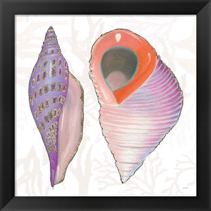 Framed Shimmering Shells X Print