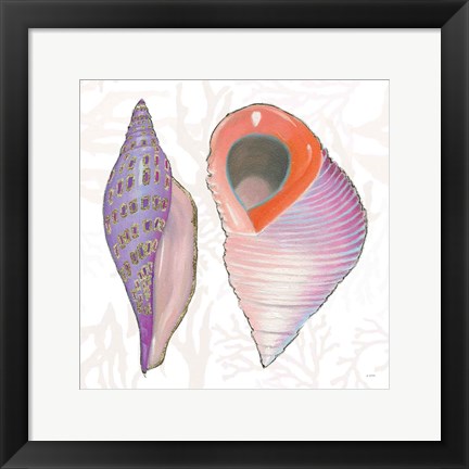 Framed Shimmering Shells X Print