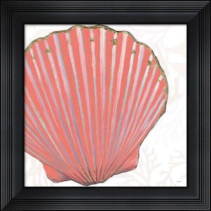 Framed Shimmering Shells XI Print