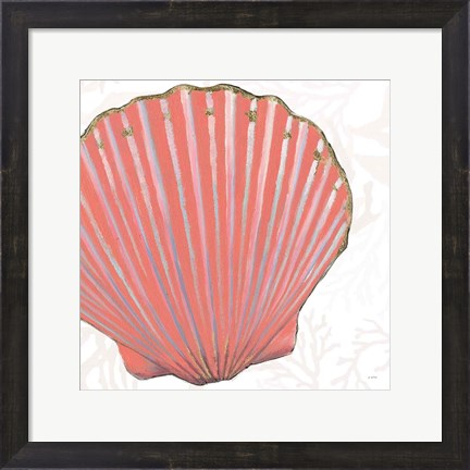 Framed Shimmering Shells XI Print