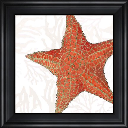 Framed Shimmering Shells XIII Print
