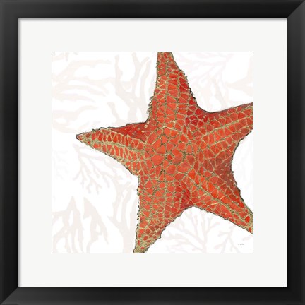 Framed Shimmering Shells XIII Print