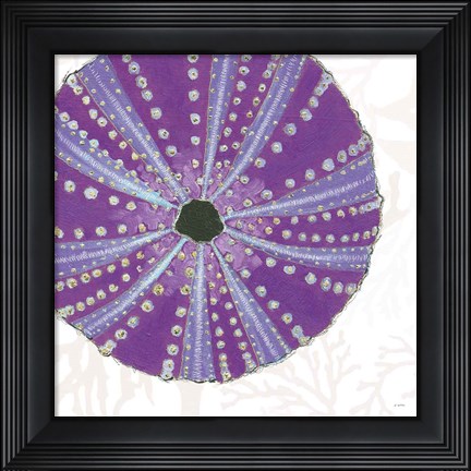 Framed Shimmering Shells XIV Print
