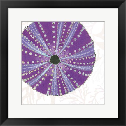 Framed Shimmering Shells XIV Print