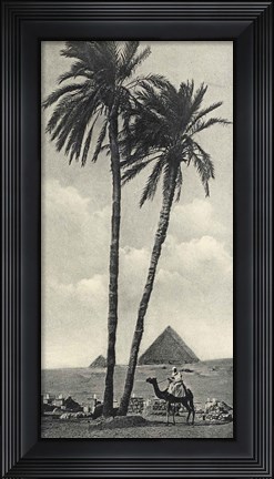 Framed Cairo IV Crop Print