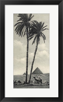 Framed Cairo IV Crop Print