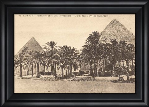Framed Egypt Postcard II Print