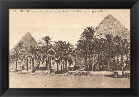 Framed Egypt Postcard II Print