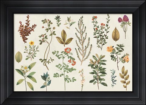 Framed Victorian Garden III Autumn Print
