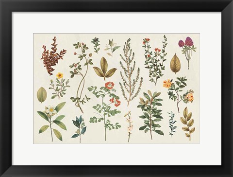 Framed Victorian Garden III Autumn Print