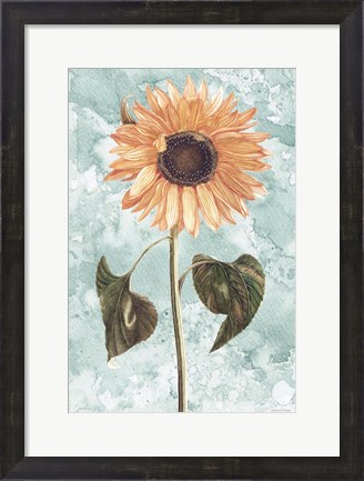 Framed Vintage Sunflower Print