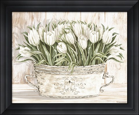Framed Tulips in White Chipped Pail Print