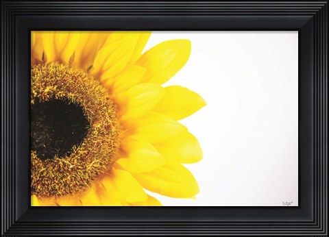 Framed Sunflower Close-up Print
