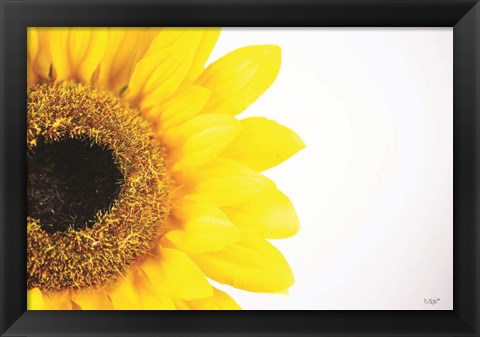 Framed Sunflower Close-up Print