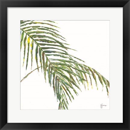 Framed Two Palm Fronds II Print