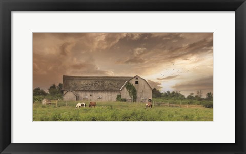 Framed Sunset Grazing Print