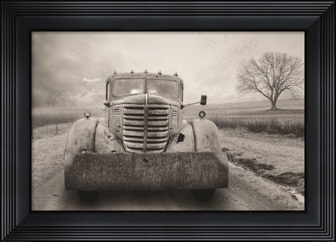 Framed Rustic Charm VI Print