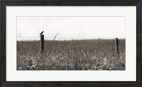 Framed Country Field Print