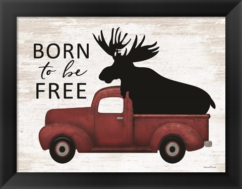 Framed Born to be Free Moose Print