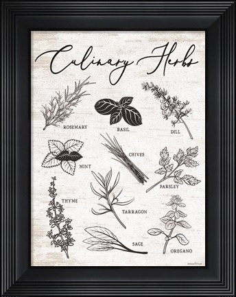 Framed Culinary Herbs Print