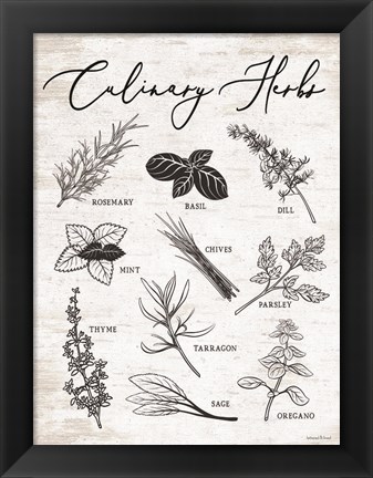 Framed Culinary Herbs Print