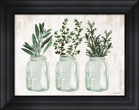 Framed Herb Trio Print
