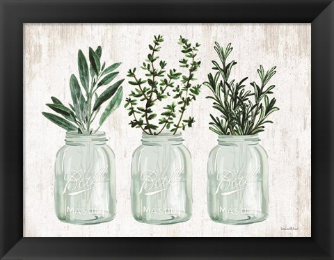 Framed Herb Trio Print