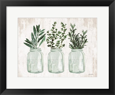 Framed Herb Trio Print